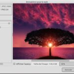 Lire la suite à propos de l’article GIMP Enregistrer pour le Web