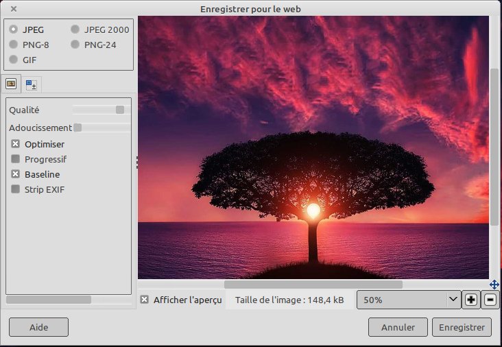 Lire la suite à propos de l’article GIMP Enregistrer pour le Web